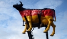 Milchbauern demonstrieren vor dem schleswig-holsteinischen Landwirtschaftsministerium in Kiel. Rund 100 Landwirte protestierten für höhere Milchpreise.
 Foto: dpa