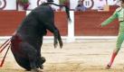 Da wundert sich der Torero: Miguel Angel Perera trifft in Gijon auf seinen ersten Kampfstier des Tages. Foto: dpa