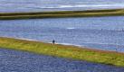 Ein Radfahrer ist auf dem Deich der Hochwasser führenden Elbe bei Dömitz in Mecklenburg unterwegs. Die Hochwasserlage in der Elberegion entspannt sich. Heute setzte der Landkreis Ludwigslust den Hochwasseralarm auf die zweitniedrigste Stufe zwei zurück. Der Wasserstand in Dömitz ist auf 5,97 Meter gesunken. Das waren 17 Zentimeter weniger als am Vortag. Foto: dpa