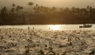 Wenn am 10. Oktober in den frühen Morgenstunden am Strand von Kailua-Kona der Startschuss zum 31. Ironman Hawaii fällt, gehen wieder rund 2000 Triathleten aus aller Welt an den Start. Vor ihnen liegen 3,8 Kilometer Schwimmen, 180 Kilometer Radfahren und ein Marathon. Wer holt diesmal die Trophäe? Foto: dpa