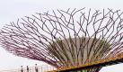 Kunst am Bau in Singapur: der 'Supertree Aerial Walkway'. Foto: Stephen Morrison Foto: dpa