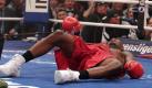 Runde zwölf: Jermain Taylor liegt nach einem heftigen Schlag regungslos im Ring. Foto: dpa