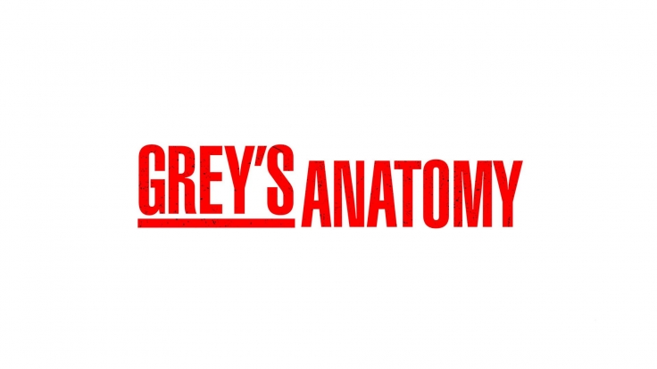 Greys Anatomy Online Sehen Greys Anatomy Online Sehen