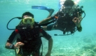 Präsident Mohamed Nasheed, von den Malediven, und andere Kabinettsmitglieder nehmen an einer Tauchausbildung teil, um eine der nächsten Kabinettssitzungen unter dem Meeresspiegel abzuhalten. Mit dieser Aktion wollen sie darauf hinweisen, dass der steigende Meeresspiegel ihre Heimat bedroht. Foto: ap