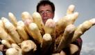 Bauer Peter Lipp präsentiert im südhessischen Weiterstadt frisch geernteten Spargel (Foto vom 30.03.2010). Die Temperaturen der vergangenen Wochen ließen den Spargel in Schleswig-Holstein knapp werden, manche Händler mussten daher bei Spargelbauern in Niedersachsen zukaufen um die Nachfrage befriedigen zu können. Foto: Arne Dedert dpa/lno (Zu dpa/lno 'Pfingsten: Viel Sonne, wenig Spargel, keine Erdbeeren' vom 18.05.2010) +++(c) dpa - Bildfunk+++
pixel
Schlagworte
 Foto: dpa
