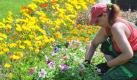 Die Gärtnerin Ramona Schmidt arbeitet auf der Gartenschau in Oranienburg an der Sommerbepflanzung, aufgenommen am 09.06.2010. Rund 6.000 Quadratmeter zeigen sich auf der Ausstellung in wechselndem Farbenspiel. Foto: Bernd Settnik/lbn +++(c) ZB-FUNKREGIO OST - Honorarfrei nur für Bezieher des ZB-Regiodienstes+++ Foto: ZB-Regiodienst