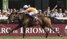 Die deutsche Stute Danedream hat sensationell das wichtigste Galopp-Rennen der Welt gewonnen. Lohn des Sieges beim legendären Prix de l'Arc de Triomphe: Rund 2,3 Millionen Euro Prämie. Danedream wird in Köln trainiert. Ein Japaner sicherte sich 50 Prozent an der Stute. Foto: dapd