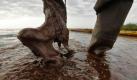 FILE - In this June 5, 2010, file photo Plaquemines Parish coastal zone director P.J. Hahn lifts his boot out of thick beached oil at Queen Bess Island in Barataria Bay, just off the Gulf of Mexico in Plaquemines Parish, La. The spill exacerbates the worry that a nation founded on trust now faces a crisis of faith in its public and private institutions, government and big business particularly. (AP Photo/Gerald Herbert, File) Foto: ap