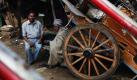 Kutschenbesitzer ohne Arbeit. Die Pferdegespanne waren früher im indischen Neu Delhi ein traditionelles Verkehrsmittel. Heutzutage sind sie Raritäten im Straßenverkehr. 
 Foto: ap