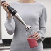 Stabmixer im Test