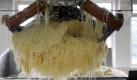 Derzeit geht es rund in der Sauerkrautfabrik in Fritzlar. Rund 33 000 Tonnen Weißkraut und 6 000 Tonnen Rotkraut werden pro Saison produziert. (Bild: Uwe Zucchi/dpa) Foto: dpa