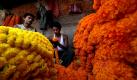 Indische Blumenverkäufer warten am Tag des Diwali Festivals in Calcutta auf dem Pflanzenmarkt auf kaufwillige Kundschaft. Die Chancen eines guten Geschäftstages für die beiden stehen gut: Am Feiertag Diwali dekorieren die Inder ihre Heime traditionell mit Lichtern und farbenfrohen Blumen. Foto: dpa