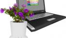 USB-Blumentopf (Foto)