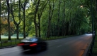 In Waldschneisen sorgt Laub für zusätzliches Rutschpotenzial auf der Fahrbahn.



 Foto: dpa
