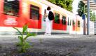 Nichts erinnert mehr an jene Stelle am S-Bahnhof München-Solln, an der der Geschäftsmann Dominik Brunner am 12. September 2009 zu Tode geprügelt wurde. Zehn Monate danach beginnt nun der Prozess gegen die mutmaßlichen Täter. Der zur Tatzeit 17 Jahre alte Sebastian und der ein Jahr ältere Markus müssen sich wegen Mordes vor dem Landgericht München I verantworten. Beide haben bisher zu der Tat geschwiegen. Foto: dpa