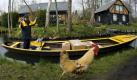 ARCHIV - Deutschlands einzige Kahnzustellerin der Post, Jutta Pudenz, fährt im brandenburgischen Lehde im Spreewald mit ihrem Kahn über ein Fließ und wird dabei kurz von einem aufgeregten Hahn am Ufer begleitet (Foto vom 04.04.2008). Sie bringt bis Oktober den Bewohnern in Lübbenau und Lehde die Postsendungen über die Spreearme und gehört zu den außergewöhnlichsten Zustellern, die für die Deutsche Post in Deutschland unterwegs sind - neben Briefträgern auf Skipisten und einem Zusteller auf der Zugspitze gibt es einen Watt-Läufer und einen Postschiffer. Foto: Patrick Pleul dpa (zu dpa-Reportage: 'Post Extrem' - Zusteller per Kahn, auf Skiern und mit Lorenbahn vom 18.03.2009) +++(c) dpa - Bildfunk+++ Foto: dpa