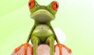 Sagt der Psychologe: Was haben Sie denn da gemacht? Sagt der Frosch: Was, Sie sehen mich auch? Foto: news.de / istock (Montage)