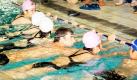 Michael Phelps trainiert mit chinesischen Special-Olympics-Athleten während einer Veranstaltung in Shanghai. Phelps wurde als Special-Olympics-Botschafter ernannt. 25 WM-Goldmedaillen befinden sich mittlerweile im Eigentum des Rekord-Olympiasiegers. Der Amerikaner gewann gestern über die 100 m Schmetterling seinen dritten Titel in Shanghai. Foto: dapd