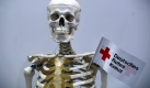 Das Model eines menschlichen Skeletts steht im Messe- und Kongresszentrum Karlsruhe am Stand des Deutschen Roten Kreuzes. Über 150 Aussteller präsentieren bis Sonntag auf der preventiKA und der Aesthetik-KA Produkte rund um die Gesund- und Schönheit.
 Foto: ddp