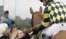 Trainer Bob Baffert and his wife Natalie greet Martin Garcia aboard Misremembered after they won the $750,000 Santa Anita Handicap horse race for 4-year-olds at Santa Anita Park in Arcadia, Calif., Saturday, March 6, 2010.  (AP Photo/Reed Saxon) Foto: ap