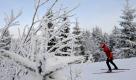 Oberhof: Eine Biathletin trainiert in einem verschneiten Waldstück. Von Mittwoch bis Sonntag findet in Oberhof der Biathlon-Weltcup statt. Foto: ddp