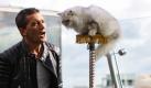 Antonio Banderas spricht bei den Vorbereitungen zu einer Pressekonferenz zum Film Der gestiefelte Kater 3D im Ritz Carlton in Moskau mit einer Katze. Der Film kommt am 1. Dezember 2011 in die deutschen Kinos. Foto: dapd