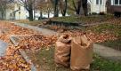 Buntes Laub an Bäumen lässt den Herbst schön aussehen. Anschließend macht das Blattwerk leider nur noch Arbeit. Foto: tdx/homesolute.com