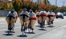 Die Radler des Spin Cycle Racing Teams in Salt Lake City fahren ihren vierten Sumo Ride zu Halloween. Foto: ap