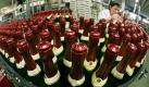 ARCHIV - In der Rotkäppchen-Mumm-Sektkellerei in Freyburg (Sachsen-Anhalt) kontrolliert die Anlagenfahrerin Ines Schoenwald an der Abfülllinie Sektflaschen auf ihre Ausstattung, aufgenommen am 10.12. 2008. Der Sektmarktführer Rotkäppchen-Mumm hofft auch im Jahr 2010 ungeschoren durch die Krise zu kommen. Nach Angaben des Vorstandschefs habe die Branche nichts von Kaufzurückhaltung gespürt. Bisher seien die Leute dem Edelgetränk treugeblieben. Foto: Waltraud Grubitzsch dpa/lah (zu lah 4010 vom 28.12.2009) +++(c) dpa - Bildfunk+++
 Foto: dpa