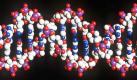 Weil es auch Gene gibt, die bei der Entstehung von Krebs eine Rolle spielen, setzt die Wissenschaft ihre Hoffnung in die Gentherapie. Dabei sollen Krebszellen überlistet werden und fehlerhafte Gene in den Zellen gegen gesunde ausgetauscht werden. Die Gentherapie befindet sich noch im Experimentierstadium.  Foto: dpa