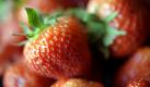 Erdbeeren, am besten aus der Region und etwa wieder ab Ende April im Supermarkt, schmecken wie Sonne und Sommer! Sie eignen sich als kleiner Snack, der ein Gefühl von Ferien verspricht. Auch im Salat machen sich die roten Früchtchen prima. Foto: ddp