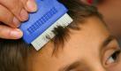 Genau kontrollieren: Um Kopfläuse und ihre Eier zu finden, werden die Haare am besten sorgfältig mit einem Nissenkamm gekämmt. (Bild: Pleul/dpa/tmn) Foto: dpa