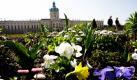 Vor dem Charlottenburger Schloss in Berlin blühen die ersten Blumen. Damit hält der Frühling jetzt auch in der Hauptstadt offiziell Einzug. Foto: ap