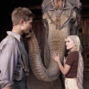 Die realen Qualen von Kino-Elefantin Rosie (Foto)