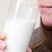 Biomilch schmeckt nach Pappe (Foto)