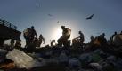 Menschen durchsuchen eine Müllhalde in Rio de Janeiro nach Brauchbarem. Foto: Antonio Lacerda Foto: dpa