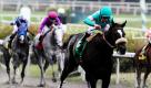 Jockey Mike Smith prescht auf Turnierfavoritin Zenyatta beim Vanity Handicap Pferderennen in Inglewood dem Sieg entgegen. Die preisgekrönte Stute hat bereits 17 Rennen in Folge gewonnen. Foto: ap