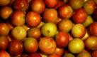 Die in Südamerika beheimatete Camu-Camu ist die Königin unter den Vitamin-C-Bomben. Ganze 2000 Milligramm sind in 100 Gramm Früchten enthalten. In Europa findet Camu-Camu Anwendung als Nahrungsergänzungsmittel in Pulverform. Die Südamerikaner schwören auf die aphrodisierende Wirkung der Früchte. Foto: news.de