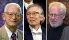 Weil sie leitende Polymere entdeckt und entwickelt hatten, wurden Alan J. Heeger (USA), Alan MacDiarmid (USA/Neuseeland) sowie Hideki Shirakawa (Japan) im Jahr 2000 mit dem Nobelpreis für Chemie bedacht. Foto: dpa