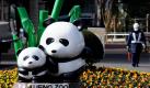 Statt Plastik-Pandas gibt es im Ueno-Zoo Tokio zum ersten Mal seit 2008 wieder echte Exemplare der niedlichen Tiere zu sehen: Am Abend soll ein Panda-Duo im Zoo in Japans Hauptstadt eintreffen.  Foto: dpa