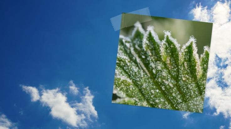 Der Juli beginnt zunächst hochsommerlich.