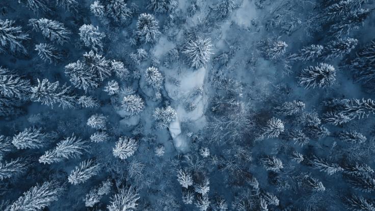 Wie wird das Wetter im bevorstehenden Winter?
