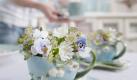 Eine Tasse mit den Frühlingsblühern wie Vergissmeinnicht kann als Blumengefäß dienen. (Bild: FDF/BBH/J. Manegold/dpa/tmn) Foto: dpa