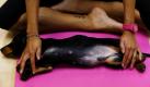 In Hongkong treibt die Tierliebe seltsame Blüten. Neuerdings gibt es einen Kurs in Doga: Yoga für gestresste Hunde und ihre Besitzer. Hier entspannen Oksana Maxwell und ihr Dackel bei einer Übung während einer Doga-Stunde. Demnächst gibt es bestimmt auch Aerobic für getresste Hamster. Foto: dapd