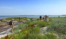 Auf der Insel Poel können Familien einen erholsamen Herbsturlaub verbringen. Am Strand lassen sich Muscheln, Fossilien oder auch Bernstein suchen und finden. Foto: Kurverwaltung Insel Poel/Rene Legrand