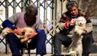 Fellpflege an der frischen Luft: Zwei ältere Hundebesitzer kämmen das Fell ihrer Hunde in der ostchinesischen Stadt Qingdao. Foto: dpa