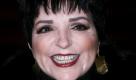 Die US-amerikanische Schauspielerin und Sängerin Liza Minnelli hat im US-Staat Maine ein Konzert wegen Krankheit kurzfristig abgesagt. Dabei ging ihr eine Ehre durch die Lappen: Nach dem Auftritt habe der Bürgermeister von Portland dem Cabaret-Star eigentlich den Schlüssel der Stadt übergeben wollen, teilte der Veranstalter Portland Ovations mit. Foto: dapd