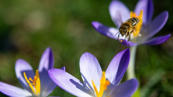 Ungewöhnlich sonniges Wetter in Deutschland dank Hoch