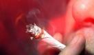 Die Linke will den Konsum von Cannabis durch Cannabis-Clubs legalisieren. Foto: Torsten Leukert / Archiv Foto: dpa