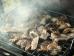 Grillen (Foto)